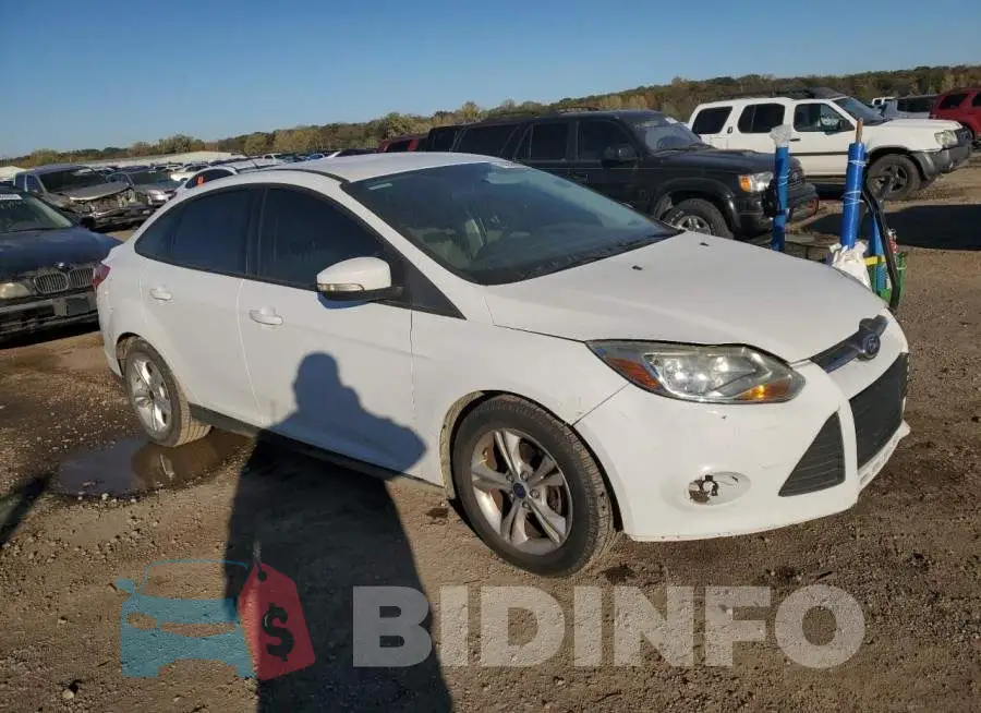 1FADP3F2XEL362484 Photo# 4
