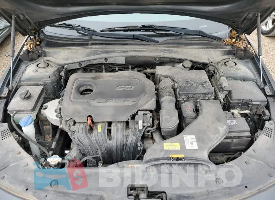 KNAGT4L31G5079143 Photo# 11