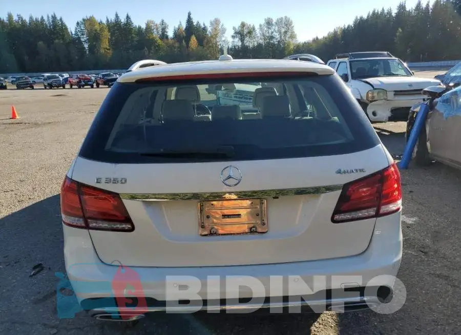 WDDHH8JB6FB114257 Photo# 6