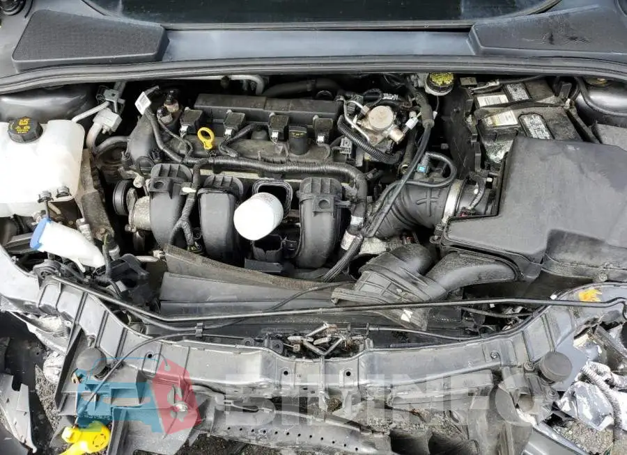 1FADP3K24GL381282 Photo# 11
