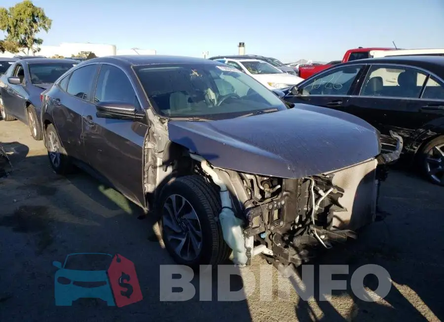 19XFC2F74HE222805 Photo# 4