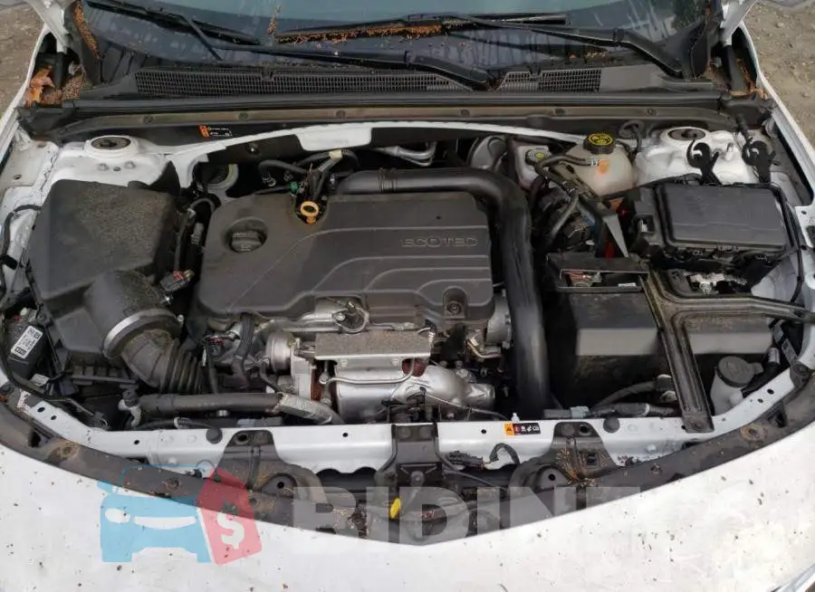 1G1ZB5ST2LF096567 Photo# 11