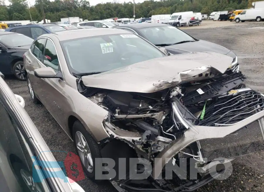 1G1ZD5STXNF193724 Photo# 4