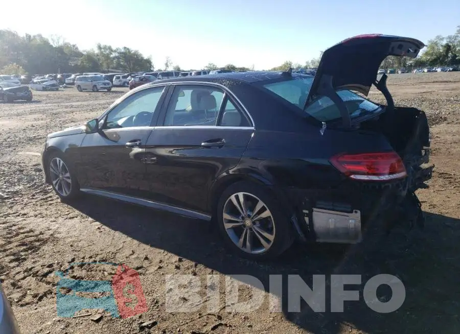 WDDHF8JB9FB149591 Photo# 2