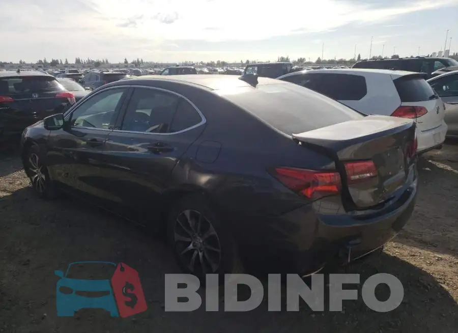 19UUB1F35FA019134 Photo# 2