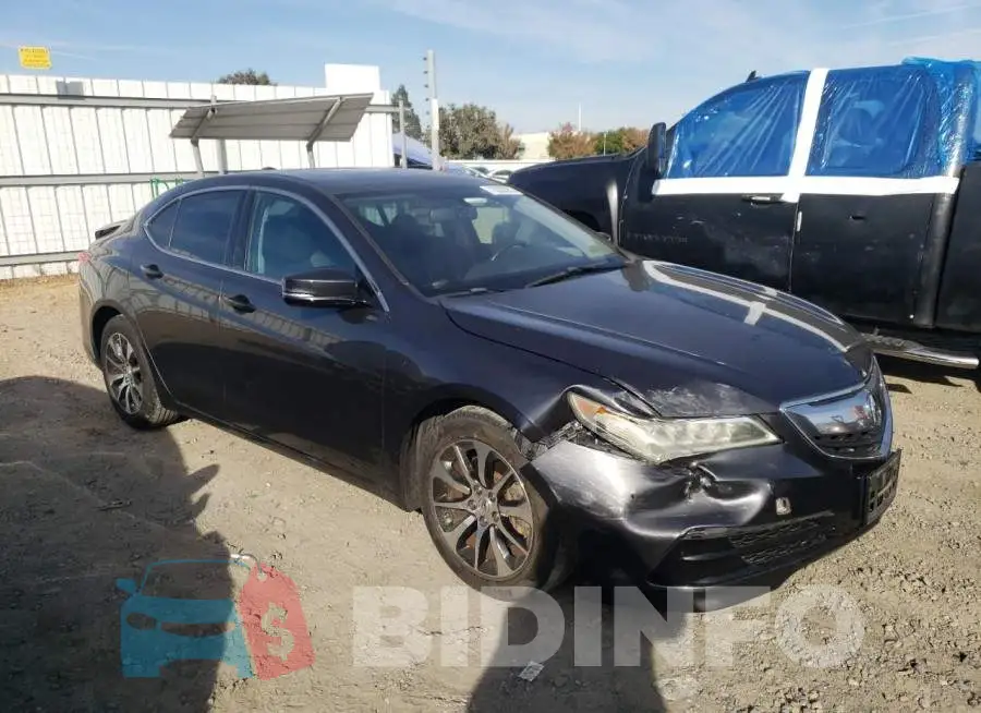 19UUB1F35FA019134 Photo# 4