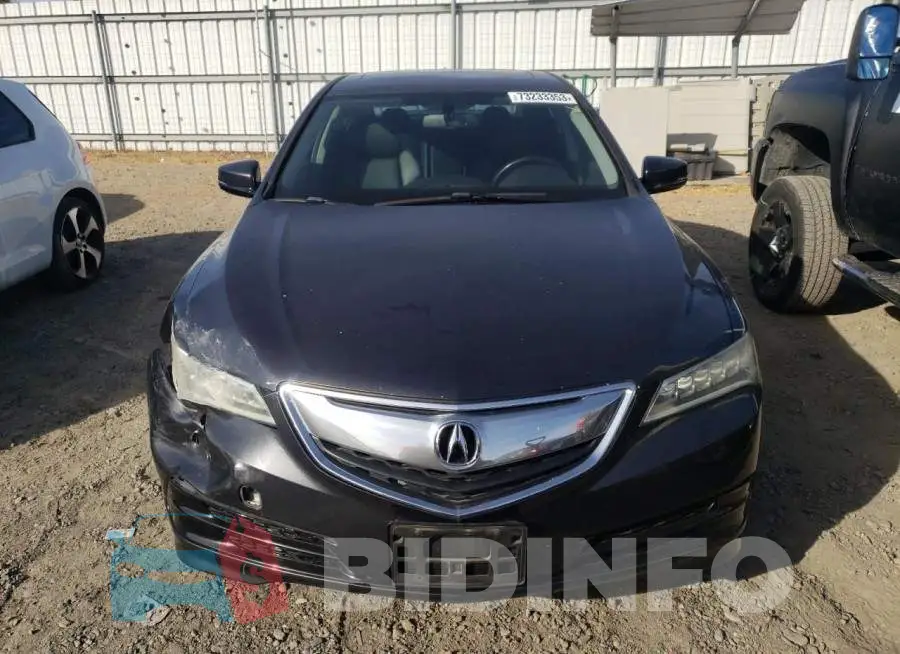 19UUB1F35FA019134 Photo# 5
