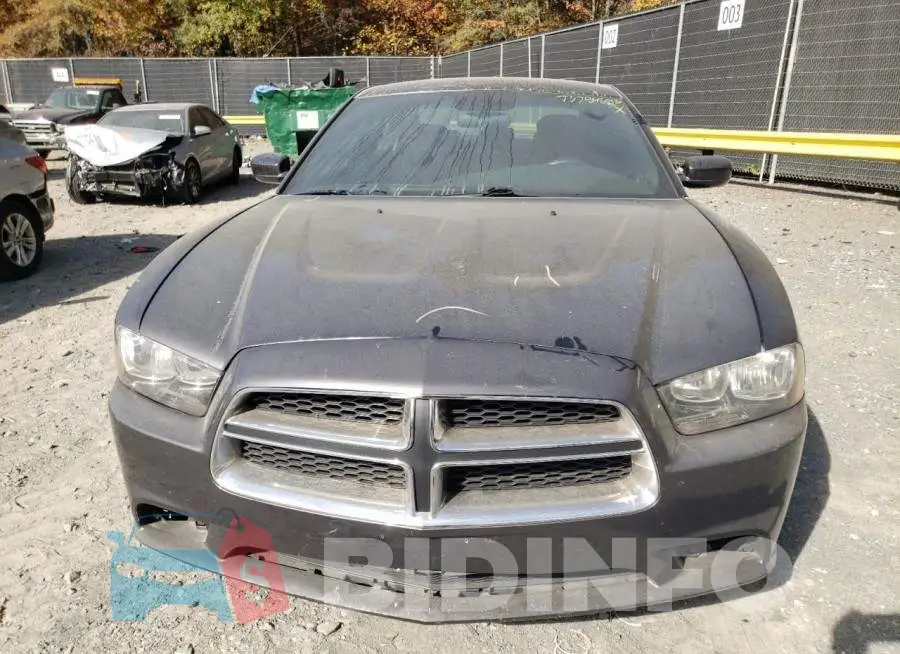 2C3CDXBG6EH243047 Photo# 5