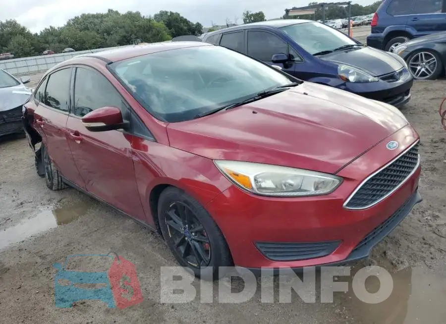 1FADP3F21GL356298 Photo# 4