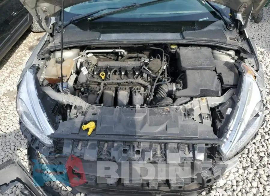 1FADP3F24GL250332 Photo# 11
