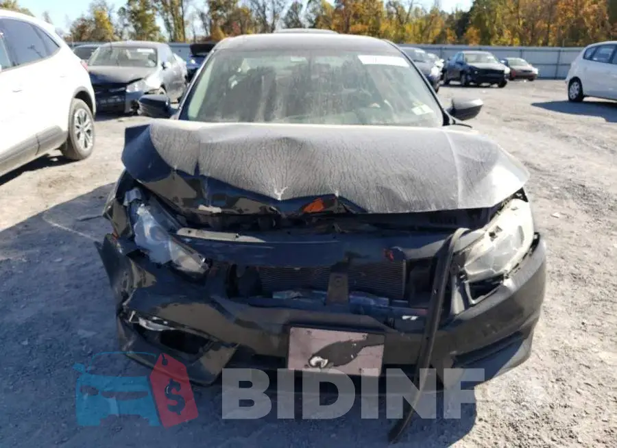 19XFC2F74HE201470 Photo# 5
