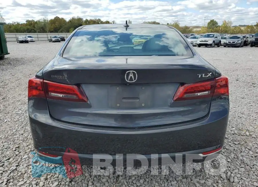 19UUB2F34FA025836 Photo# 6
