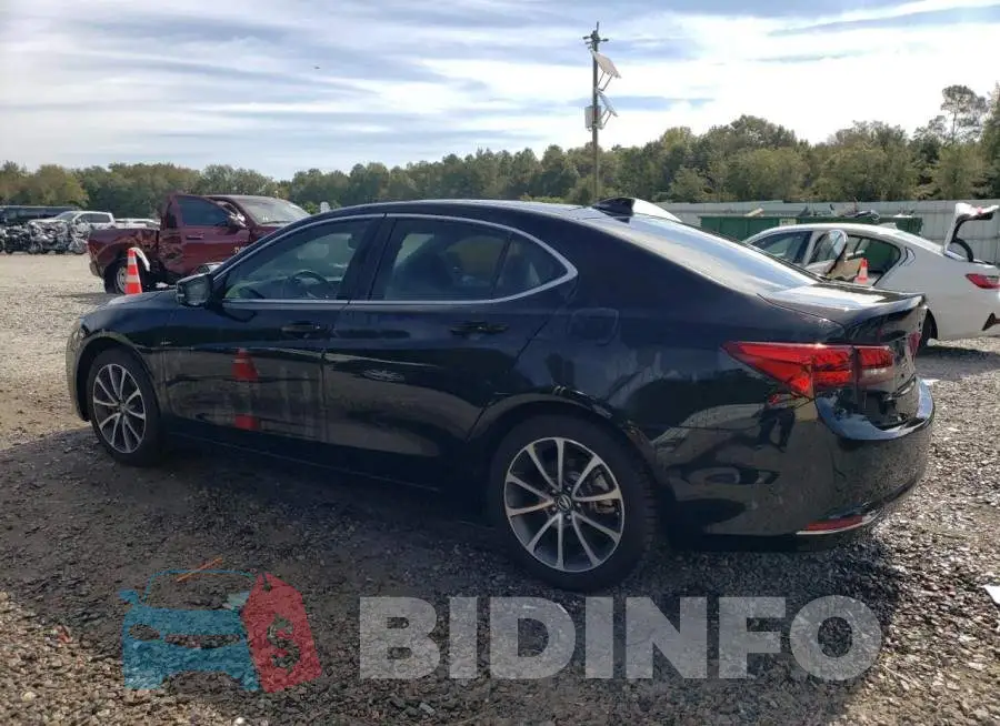 19UUB2F53FA005689 Photo# 2