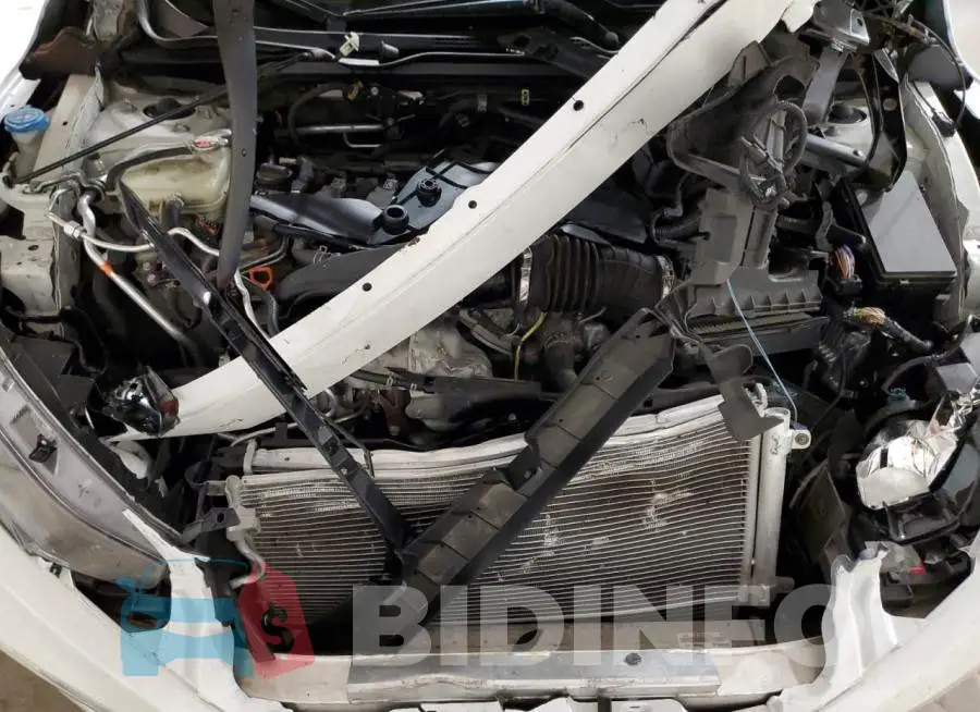 2HGFC1F31KH650948 Photo# 11
