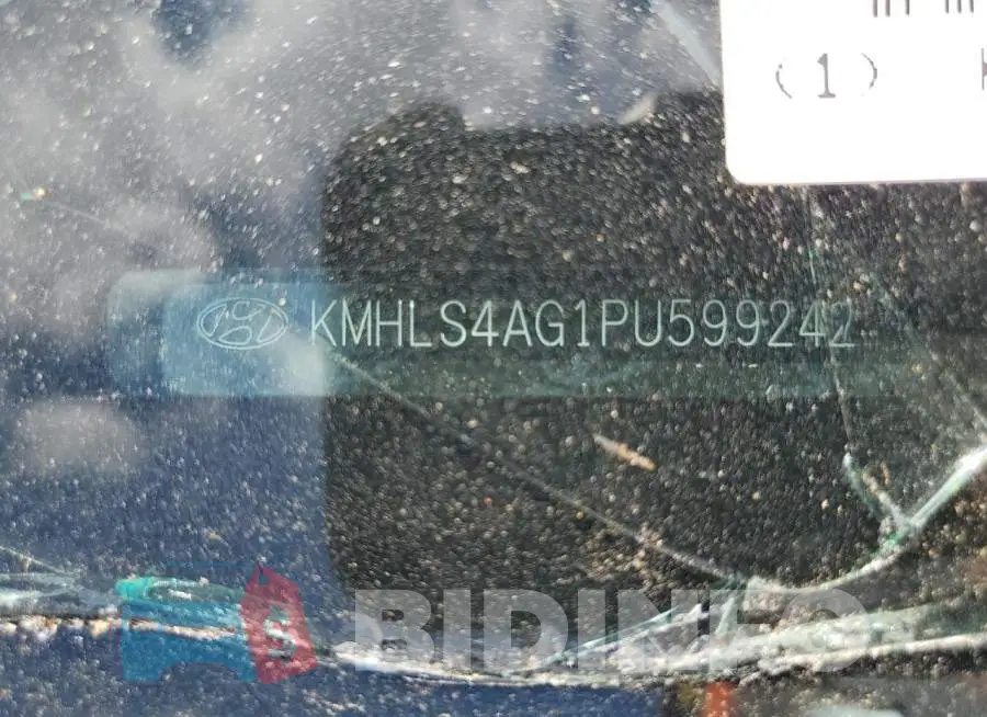 KMHLS4AG1PU599242 Photo# 13