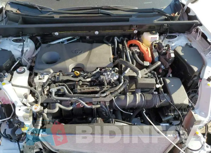 JTM16RFV3PD088622 Photo# 12