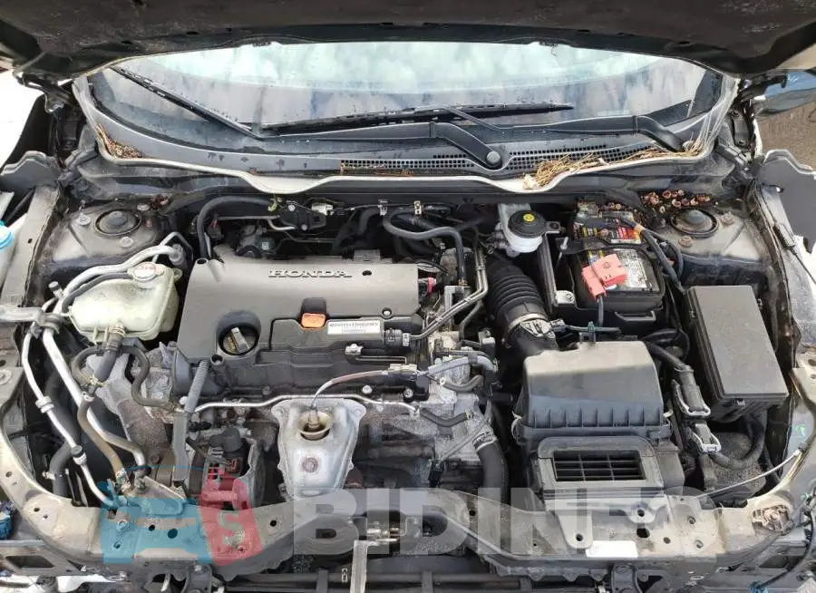 19XFC2F50HE232469 Photo# 11