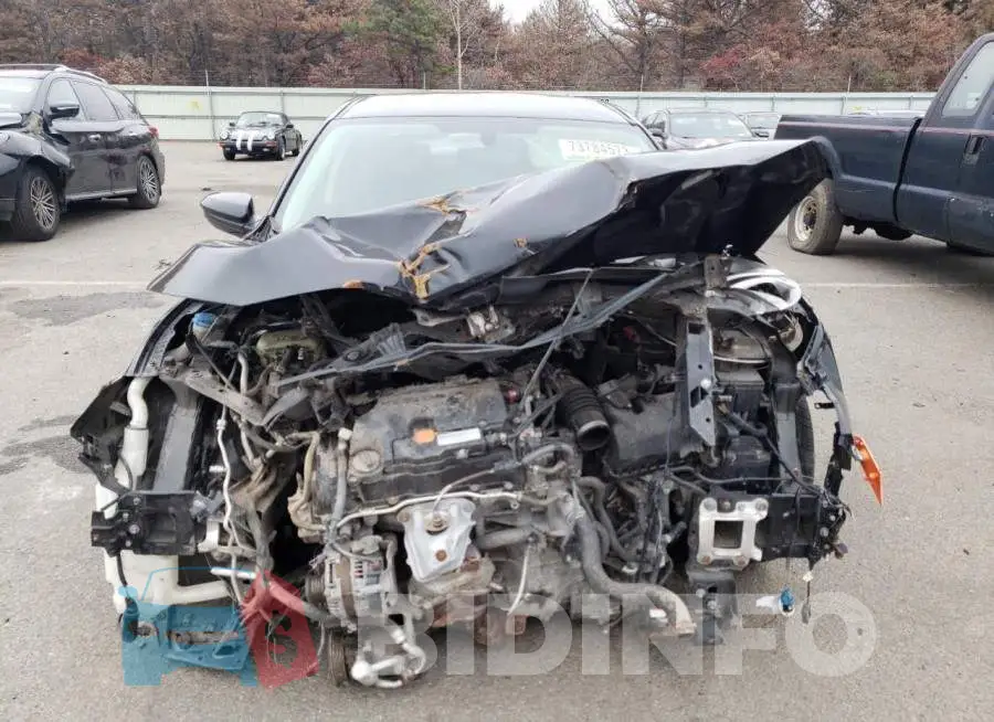 19XFC2F53GE209430 Photo# 5