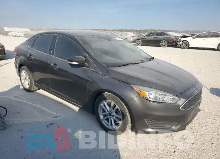 1FADP3F22GL384286 Photo# 4