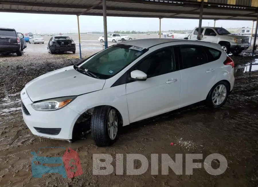 1FADP3K26GL270698 Photo# 1