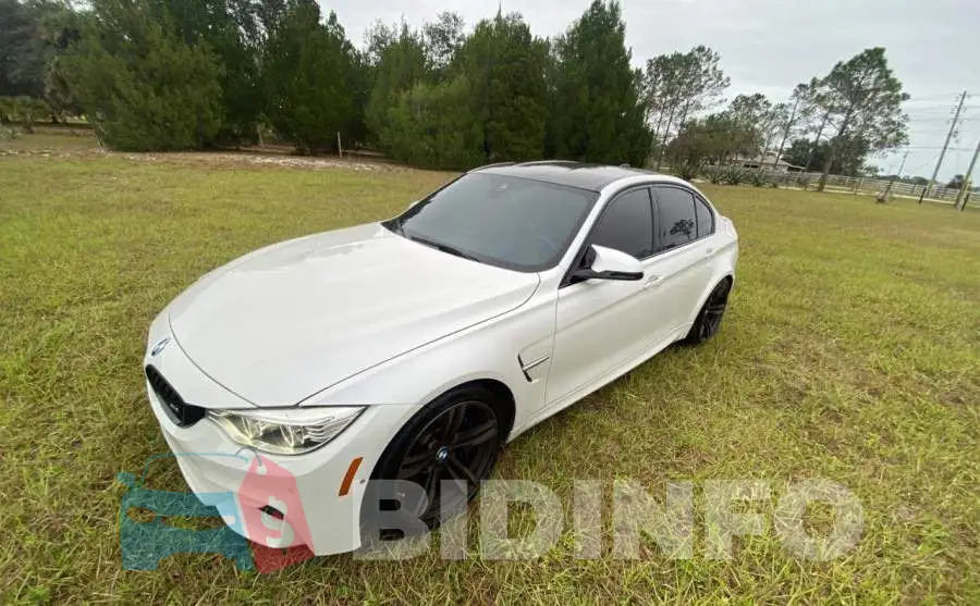 WBS8M9C52G5D30248 Photo# 2