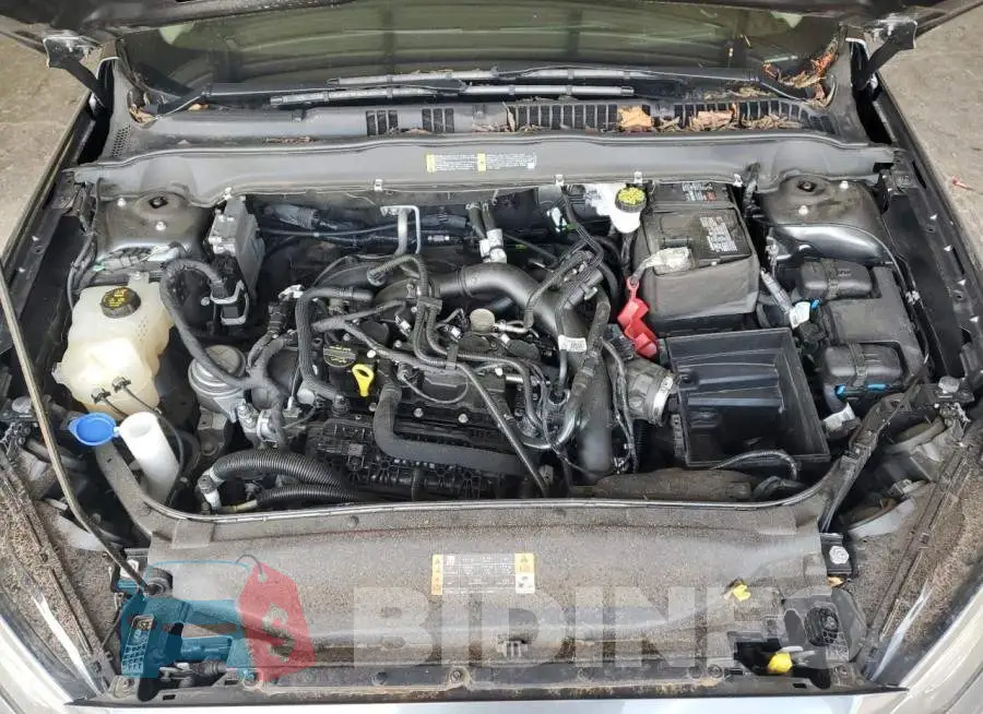 3FA6P0HD5LR240362 Photo# 11