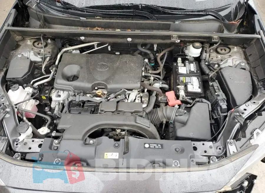 2T3P1RFV8KC010049 Photo# 12