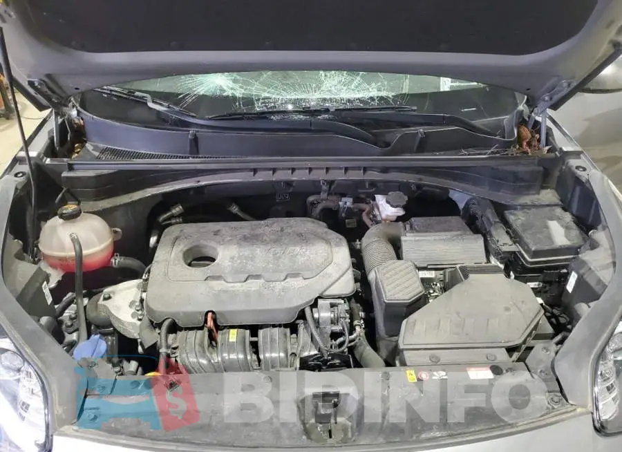 KNDPMCAC1M7883682 Photo# 12