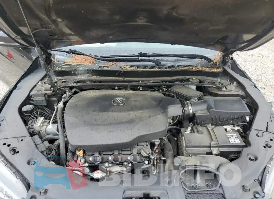 19UUB2F73FA008464 Photo# 11