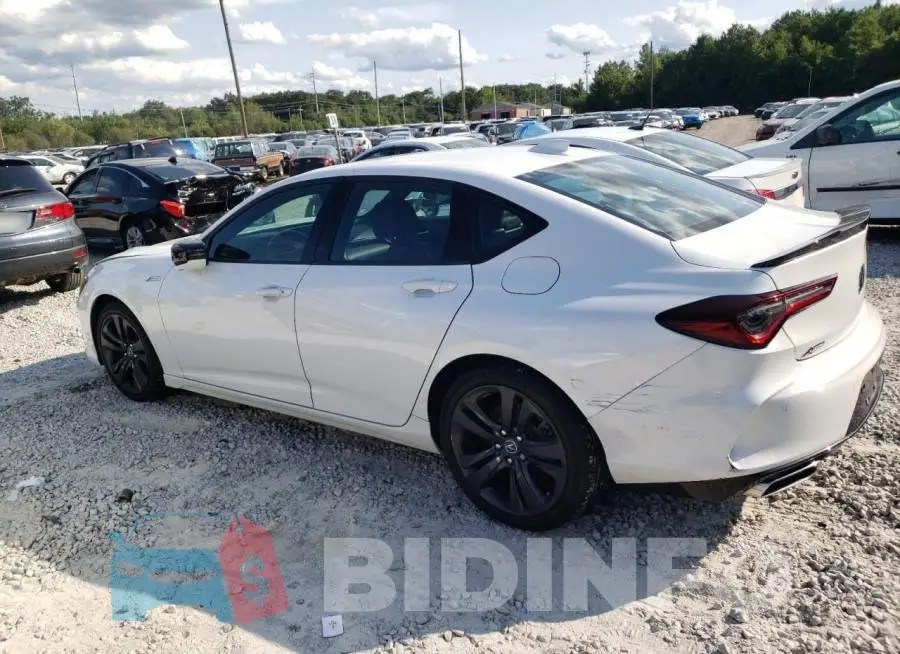19UUB6F56MA007764 Photo# 2