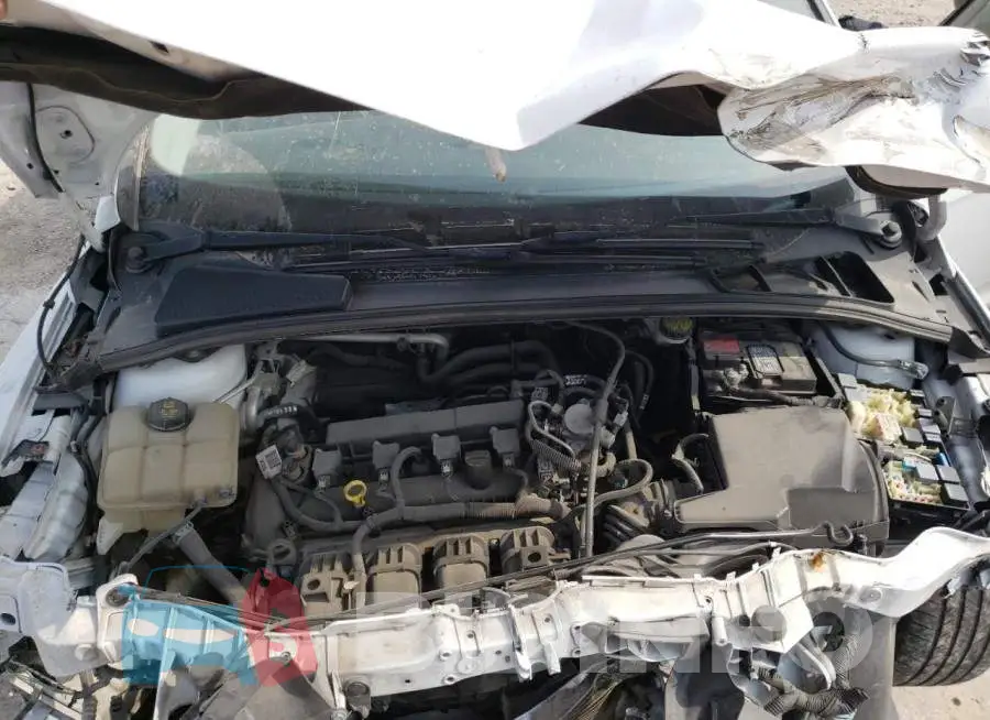 1FADP3K24GL352428 Photo# 11
