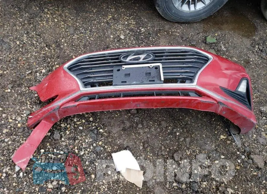 5NPE24AF7KH731427 Photo# 12