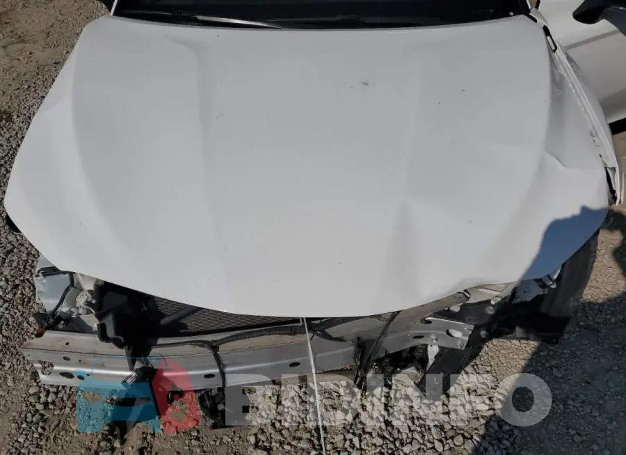 4T1M11AKXLU872960 Photo# 11