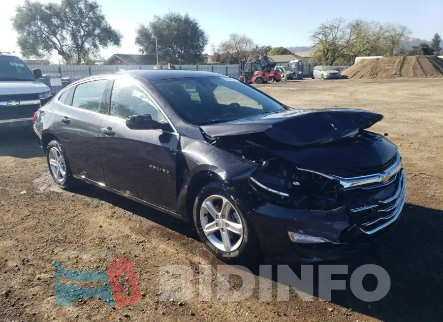 1G1ZD5ST1PF243784 Photo# 4