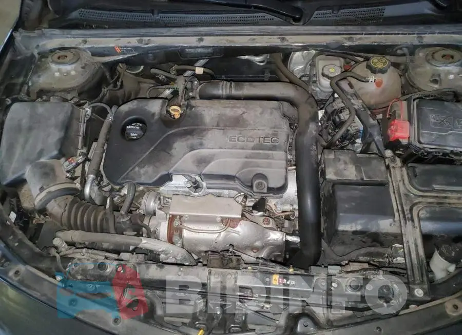1G1ZD5ST5JF192314 Photo# 11