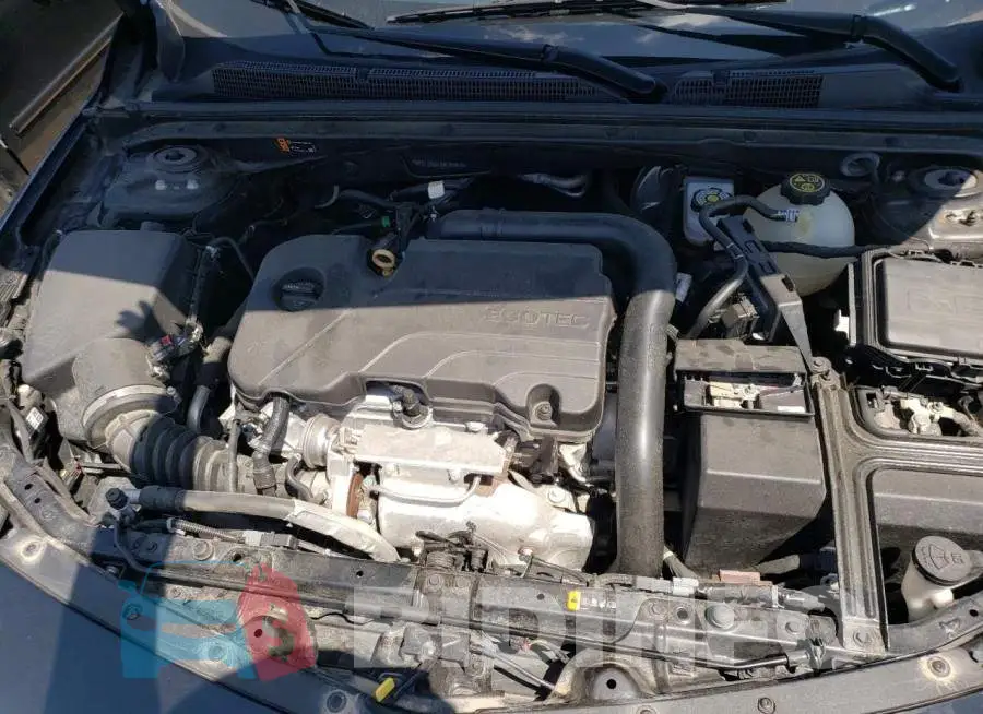 1G1ZD5ST5MF065616 Photo# 11