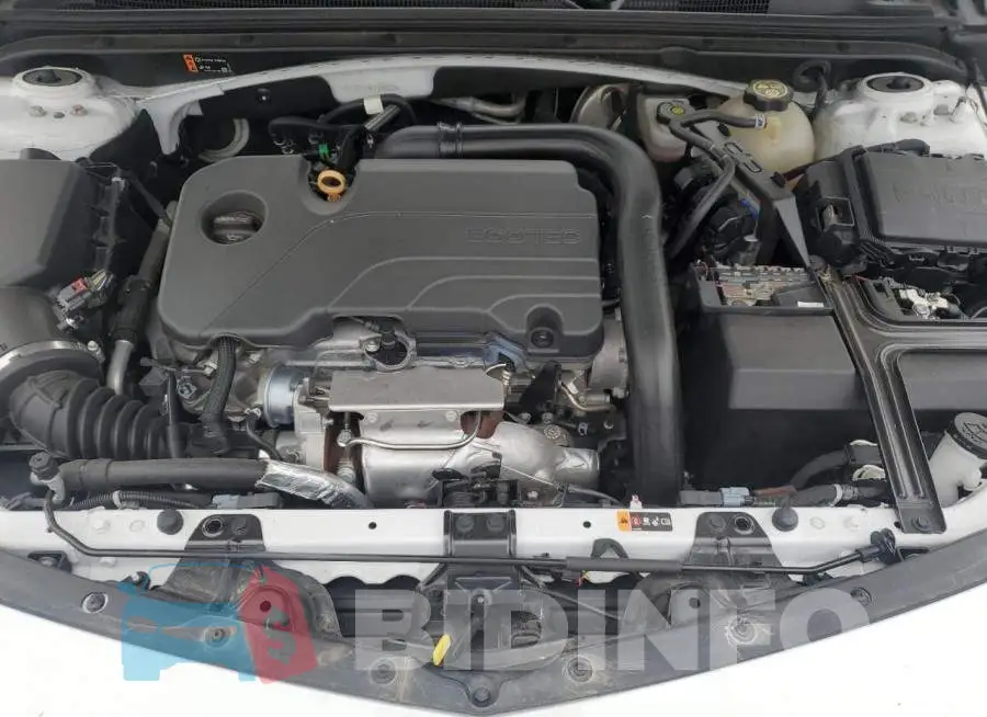 1G1ZD5ST6LF116233 Photo# 11