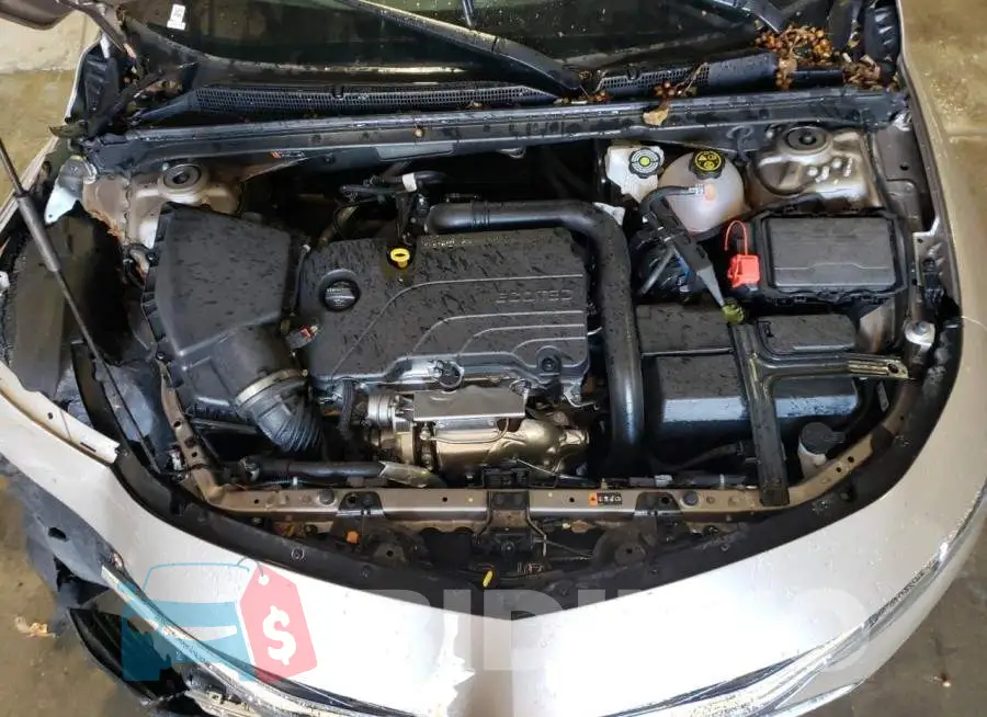 1G1ZD5ST8PF201631 Photo# 11