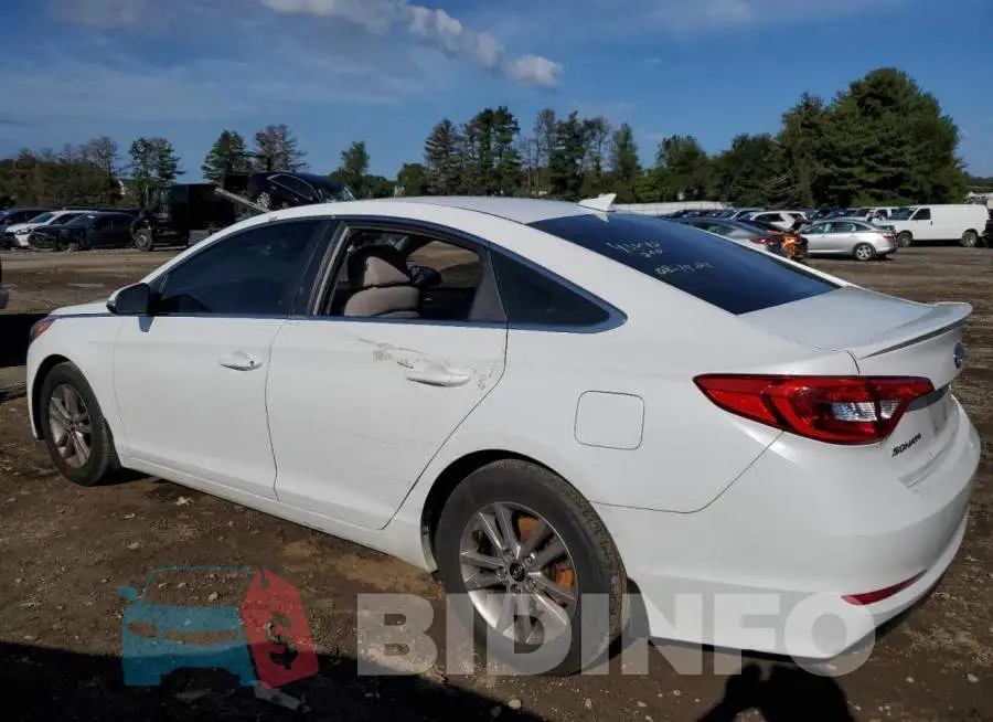 5NPE24AA1GH423844 Photo# 2