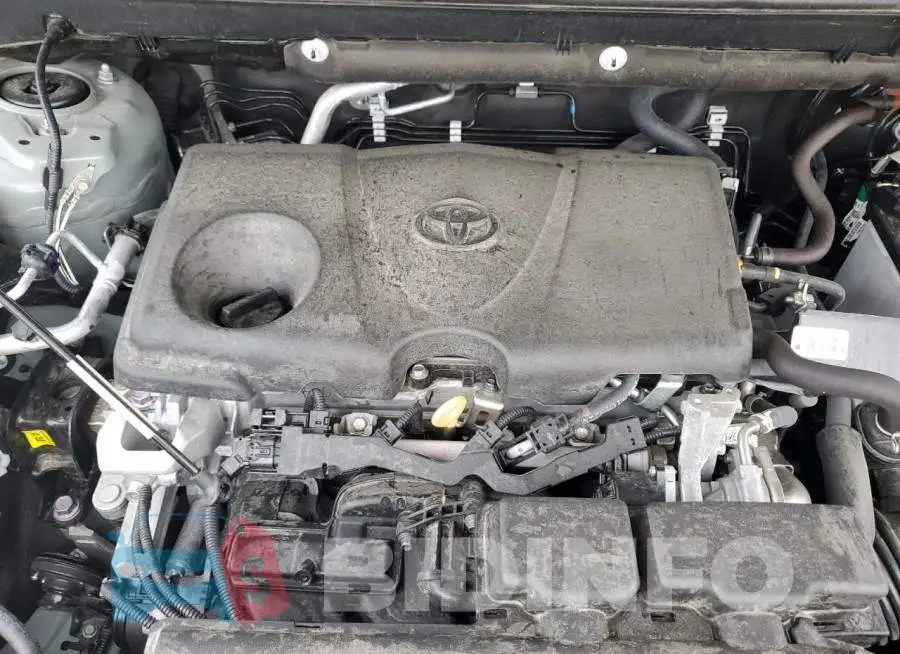 2T3A1RFV5MW245225 Photo# 12
