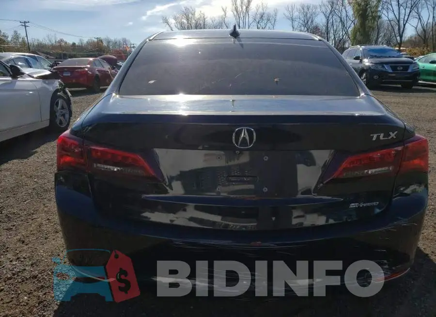 19UUB2F50FA007156 Photo# 6