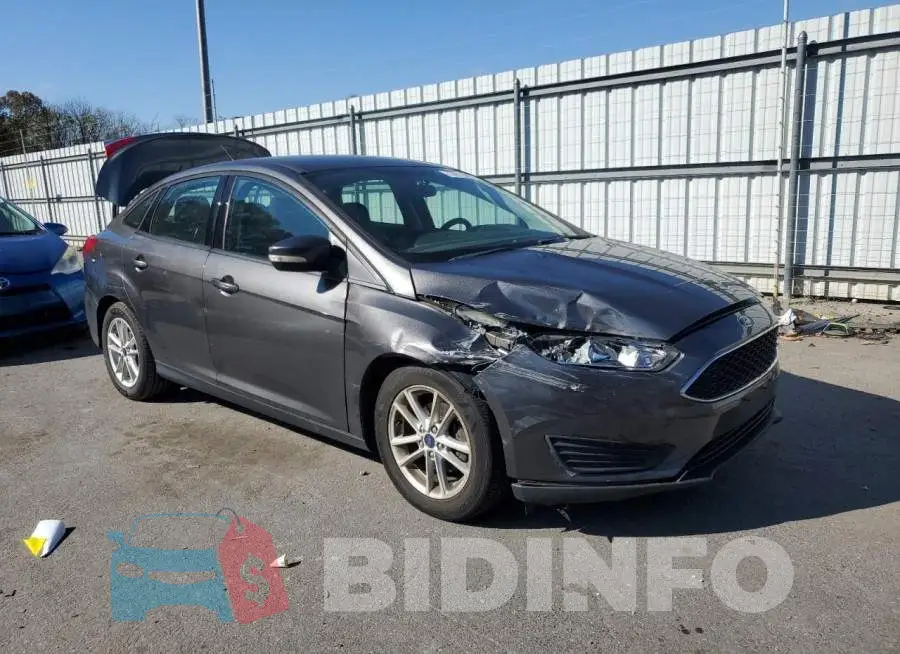1FADP3F2XGL263389 Photo# 4