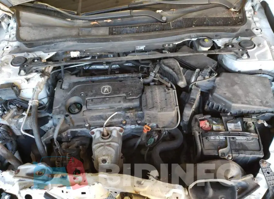 19UUB1F52FA005984 Photo# 11