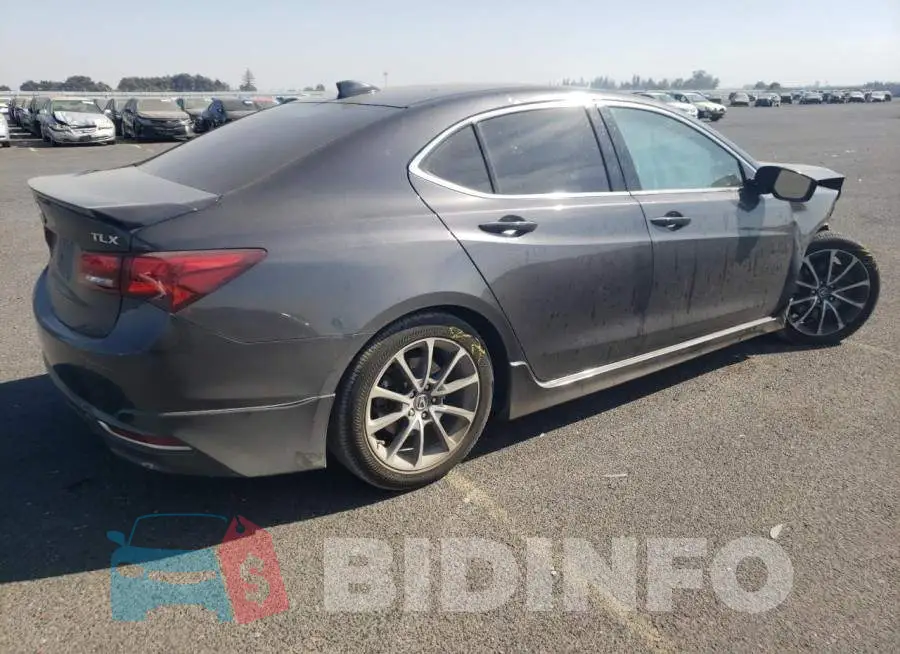 19UUB2F50FA002328 Photo# 3