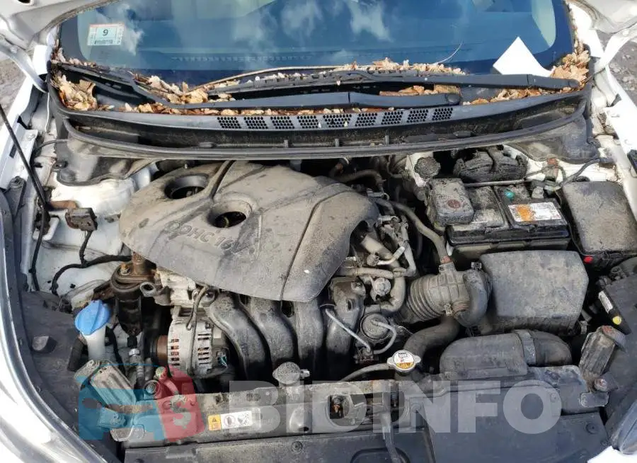 5NPDH4AE5FH560409 Photo# 11