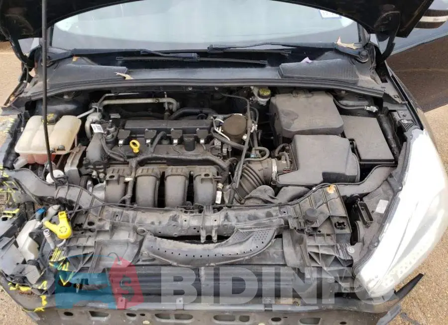 1FADP3F25FL219377 Photo# 11