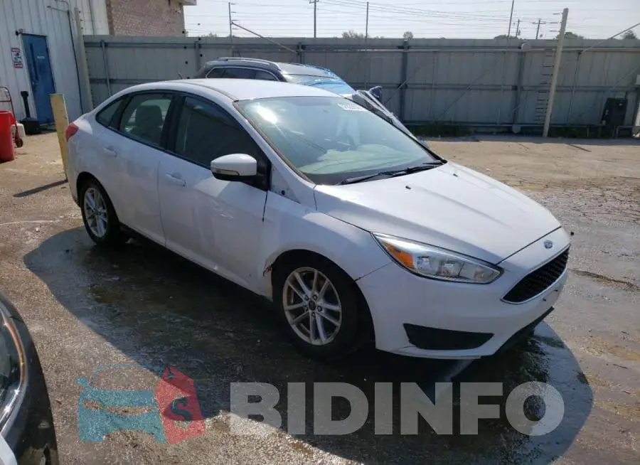 1FADP3F24GL283475 Photo# 4