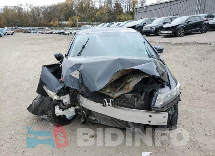 19XFB2F77FE049975 Photo# 5