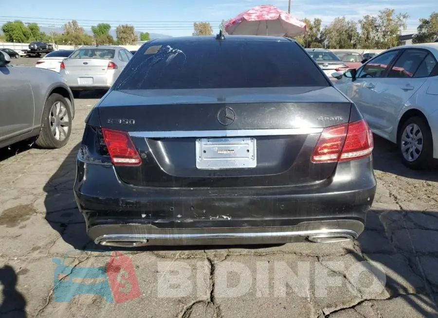 WDDHF8JB3FB091929 Photo# 6