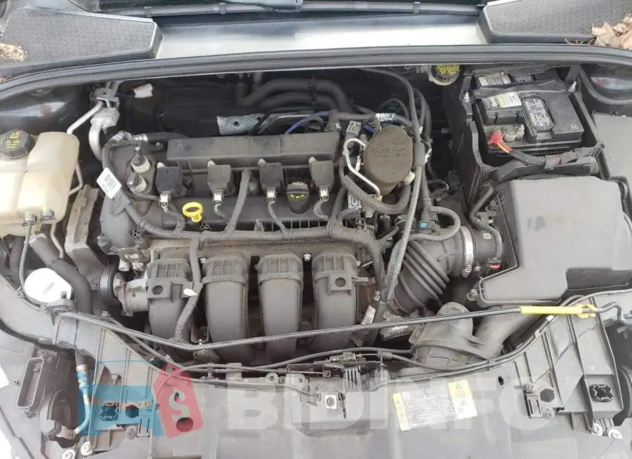 1FADP3F21FL379465 Photo# 11